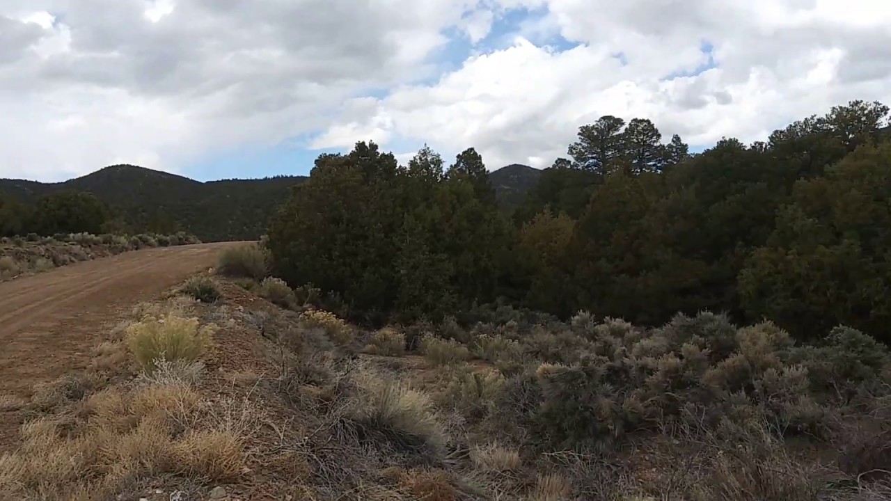 LAND FOR SALE COLORADO 6.3 ACRES YouTube