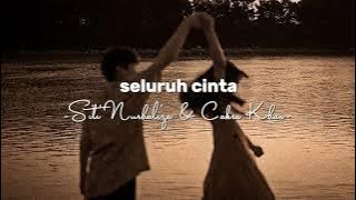 Seluruh cinta - Siti Nurhaliza & Cakra Khan (speed up)