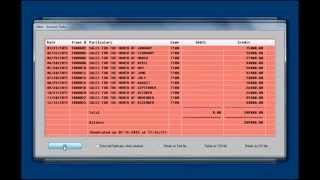 Rushing Auditor tutorial -  Trial Balance and Income and Expense Summary