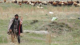 'Canlı bomba' denilerek ihbar edilen kişi çoban çıktı Resimi