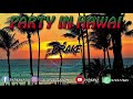 DJ DRAKE - PARTY IN HAWAI 🔥🎶