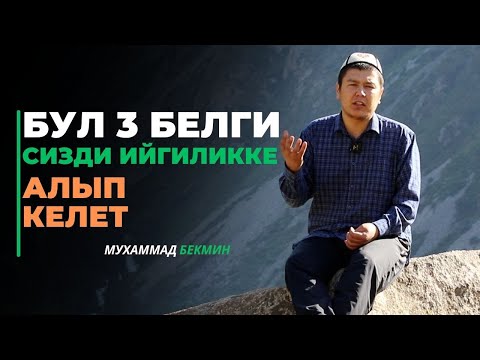 Video: Таңкы шоуну көрсөм болобу?