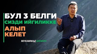 Мухаммад Бекмин: Бул 3 белги сизди ийгиликке алып келет