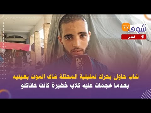 أكادير شاب حاول يحرك لمليلية المحتلة شاف الموت بعينيه بعدما هجمات عليه كلاب خطيرة كانت غاتاكلو أكادير شاب حاول يحرك لمليلية المحتلة شاف الموت بعينيه بعدما هجمات عليه كلاب خطيرة كانت غاتاكلو