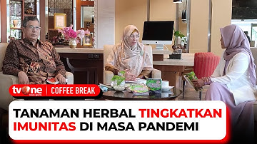 Dinkes Sumut: Manfaat Tanaman Herbal Membantu Meningkatkan Imun di Masa Pandemi Covid-19