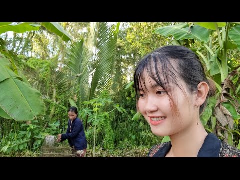 Video Bẫy Rắn Dễ Dàng - Thôn Nữ Xây Hố Sâu Dưới Đất Bằng... - youtube