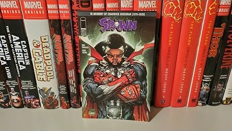 Spawn Vol 1 Issue 311 Overview