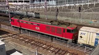 20230225 JR神戸線でレッドサンダーに遭遇　JR貨物 EF510形電気機関車