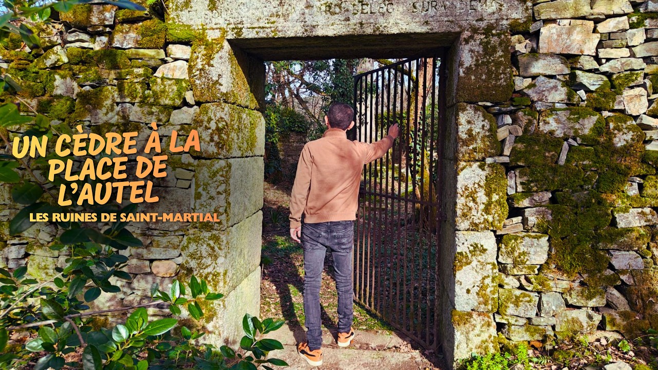 UN CÈDRE À LA PLACE DE L'AUTEL - Les ruines de Saint-Martial
