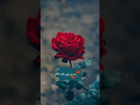 ياصاحبي الله يمسيك بالخير