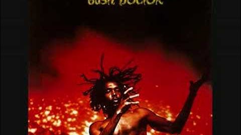 Peter Tosh - Pick Myself Up