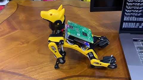 Voice controlled Bittle Robot dog with RaspberryPi