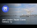 [VR 180] Jack London Square Cranes, Oakland, CA