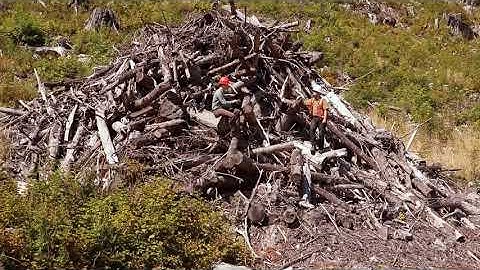 Slash in Logging Operations