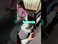 三つ子が実家で大暴れ!トレーニンググッズがおもちゃに🤣w #3つ子 #baby #可愛い #funny #cute #幼児