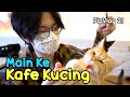 PipVlog #21 : Main Ke Kafe Kucing