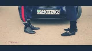 Romanegila Bradziaga