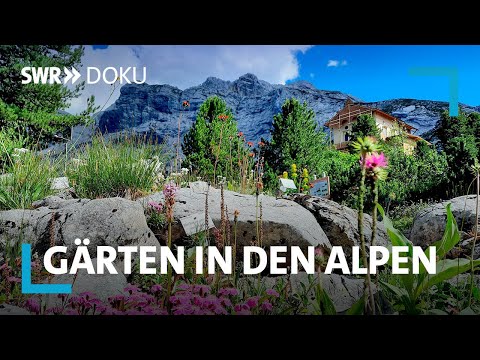 Video: Was ist ein Garten der Jungfrau Maria: Wie erstelle ich einen Garten in der Landschaft