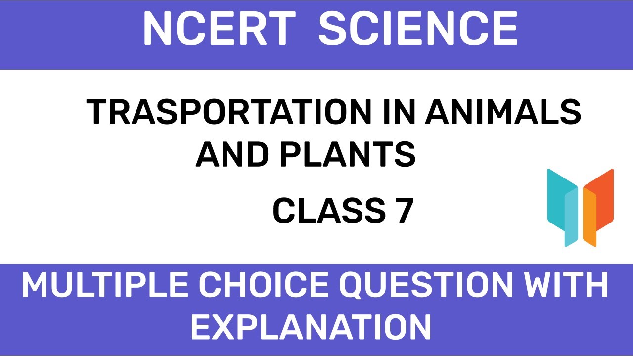 NCERT CLASS 7 - SCIENCE - Transportation in Animals And Plants - YouTube