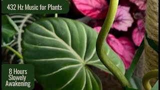 432 Hz Music for Plants to Stimulate Plant Growth 🌱 Spring Vibes for Slow Awakening