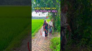 হাটের পথে বিশ্রাম শেষে বাড়ি ফিরছেন বৃদ্ধা   #Manikganj #মানিকগঞ্জ #গ্রামেরবাজার #হাট #বাজার