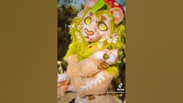 Moss must be my main Fursona right??? #furry #fursuit #furryfandom