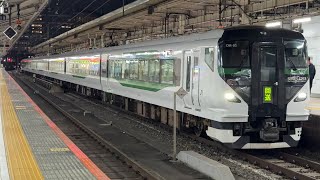 E257系5000番台OM–93編成　特急踊り子60号返却回送警笛を鳴らして東京駅発車