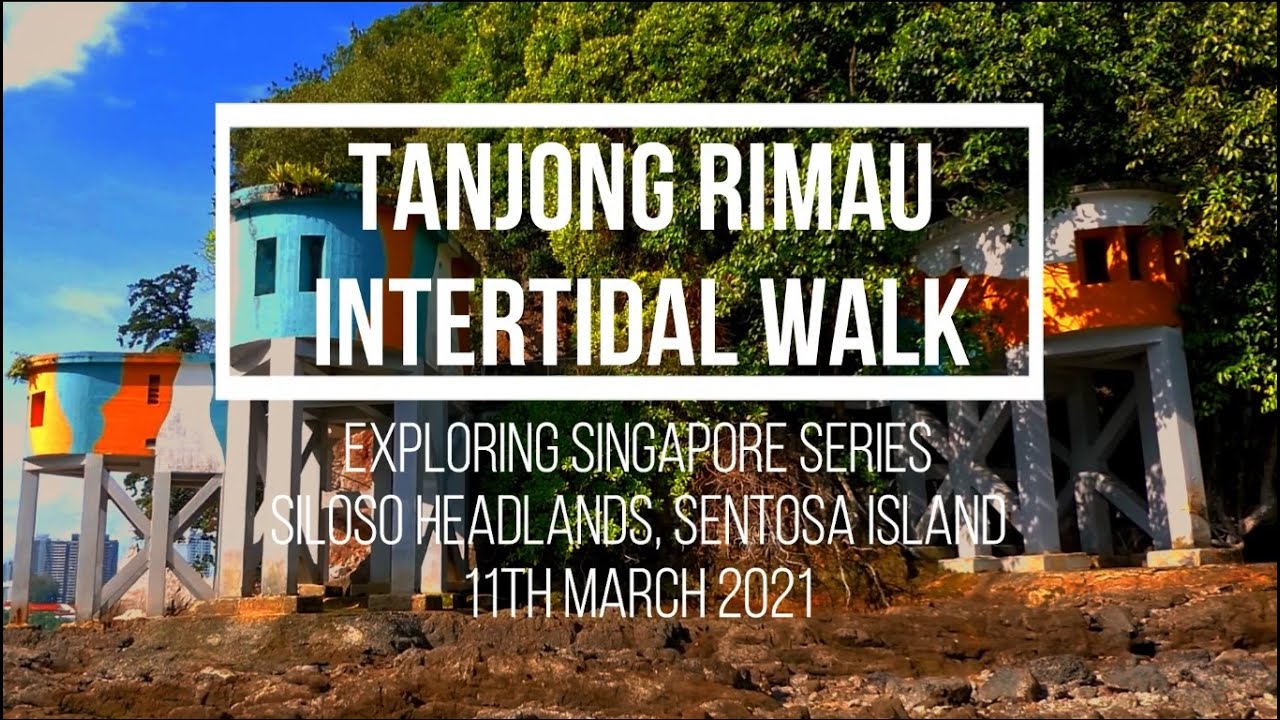 Tanjong Rimau Intertidal Walk | Sentosa's Coastal Cliffs, Caves and ...