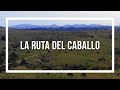 La Ruta del Caballo, programa Contacto