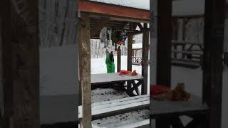 Парк Осиновая роща