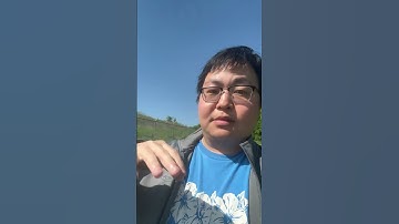 Illumination studios Migration movie