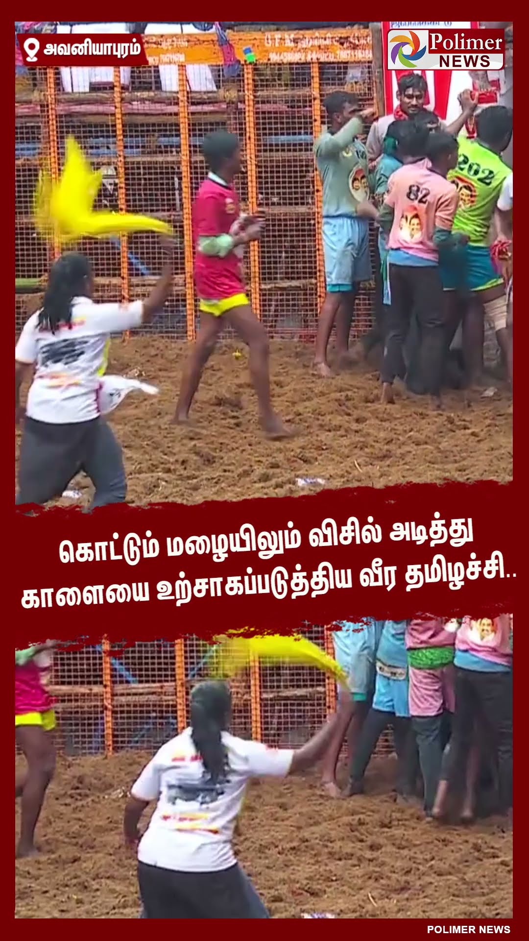 கொட்டும் மழையிலும் விசில் அடித்து காளையை உற்சாகப்படுத்திய வீர தமிழச்சி..  #shorts