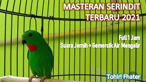 Masteran Serindit Paling Dicari  2021, Suara Jernih + Gemercik Air Mengalir Full 1 Jam