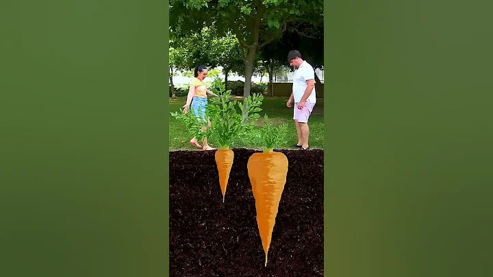 Who actually won? #shorts the Best from tiktok by tiktoriki