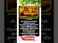 Daily life use knowledge fact💥 #tamilgk #shortfeed #tamilshorts #shorts #short #gk #tamilnadu #tamil