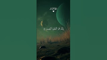 سورة الزمر ❤️ الشيخ ماهر المعيقلي