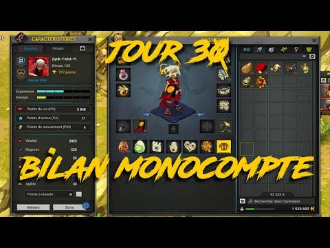 (Dofus) 30 JOURS SERV MONOCOMPTE BILAN