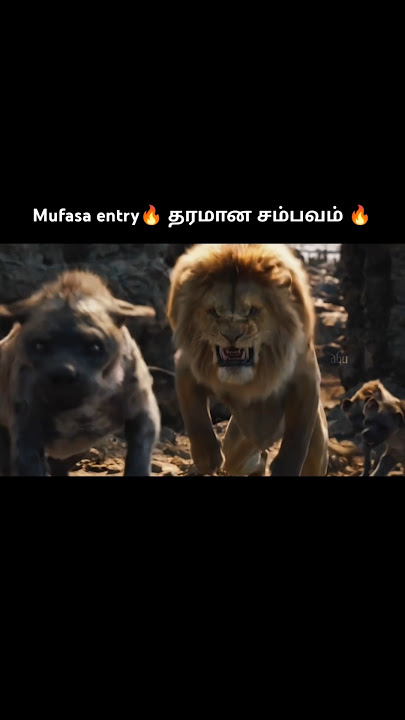 Mufasa entry🔥| தமிழ் edit | the lion king
