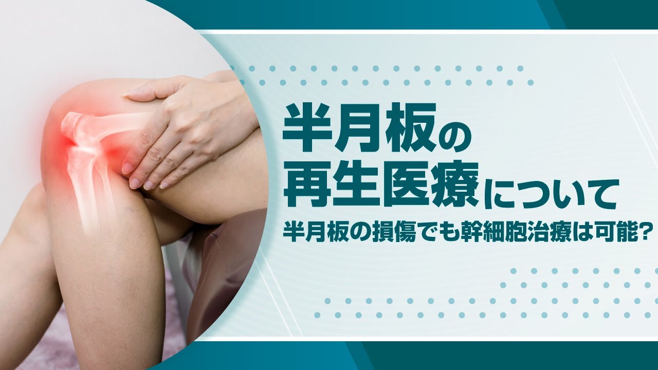 半月板のすべて : 解剖から手術、再生医療まで 裁断済み 半月板のすべて−解剖から縫合手術,再生治療まで | 宗田 大, 関矢 一郎