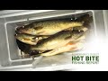 Saginaw River Fishing and Ice Fishing Reports - Hot Bite Fishing Report - Feb 25th