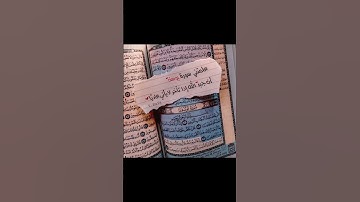سوره يوسف -القارى- سالم الرويلي