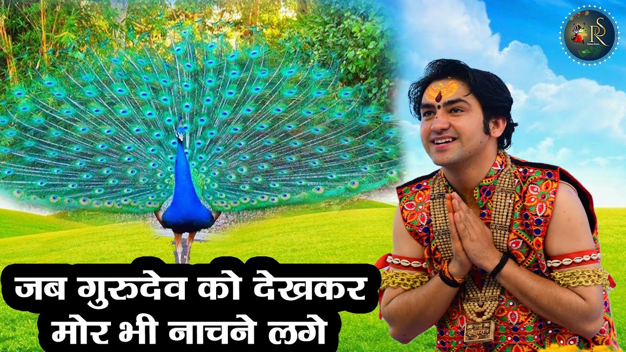 जब गुरुदेव को देखकर मोर भी नाचने लगे ~ बागेश्वर धाम सरकार और मोर का अद्भुत नृत्य | Trending Video