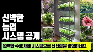 한 눈에 보는 수경 재배의 모든 것! 완벽한 농업 키트 5종 비교