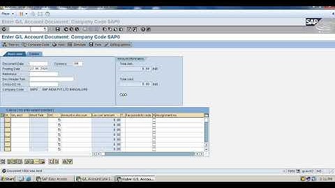 Holding document in SAP Fico.