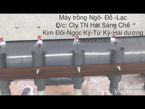 ngày 31 tháng 5, 2019 - YouTube
