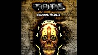 Tool - Forty Six & 2 (Live in Kalamazoo)