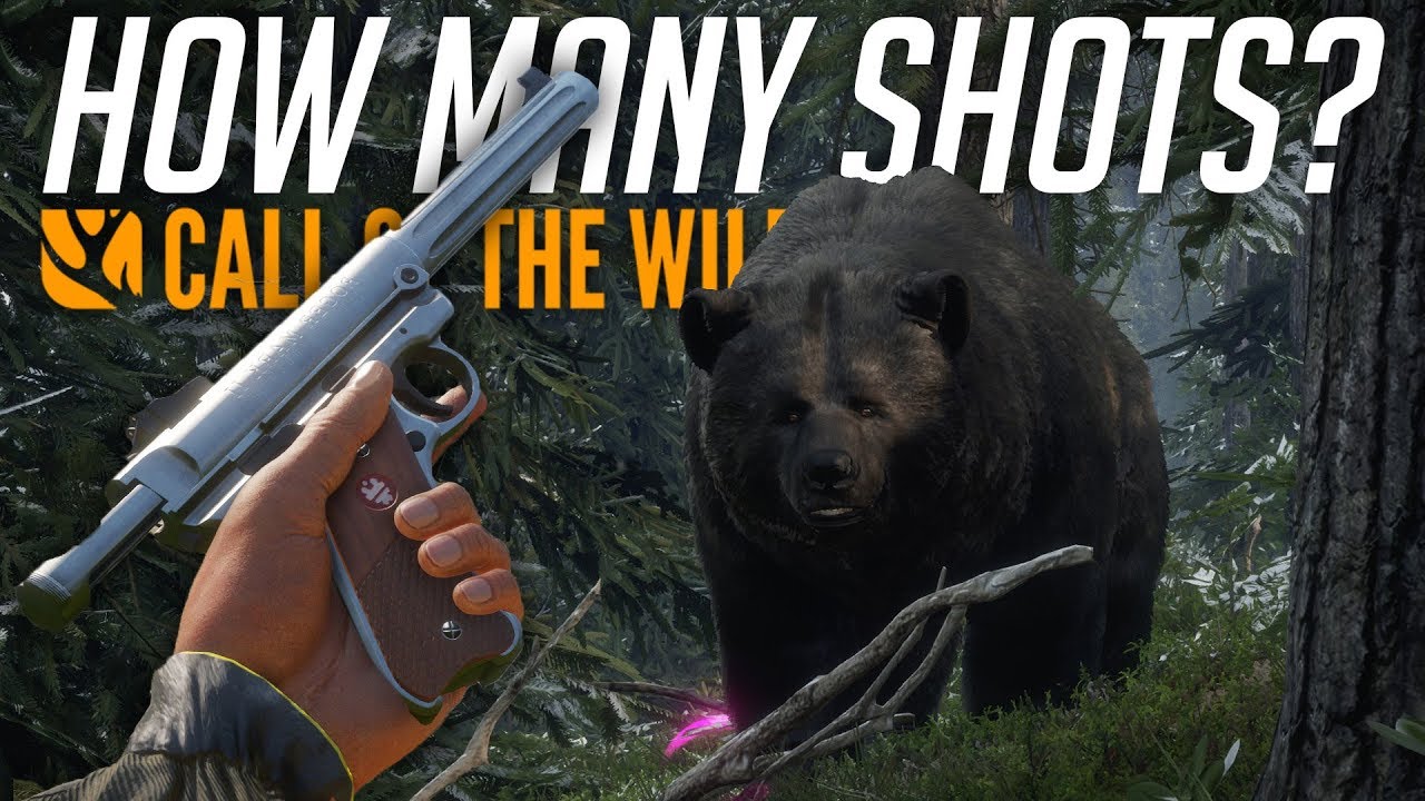 HOW MANY .22LR SHOTS TO TAKE DOWN A GRIZZLY BEAR? theHunter Call Of The Wild YouTube HOW MANY .22LR SHOTS TO TAKE DOWN A GRIZZLY BEAR? theHunter Call Of The Wild YouTube