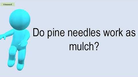 Do Pine Needles Work As Mulch?