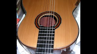 Schramm Guitars Build Diary | Lattice Guitar w/Adjustable Action Neck | Video 022