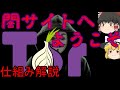 【ゆっくり解説】ダークウェブで使われる「Tor」の仕組みを徹底的に解説します。【前編】